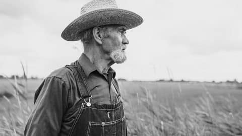 dauntless veteran feature donate graphic